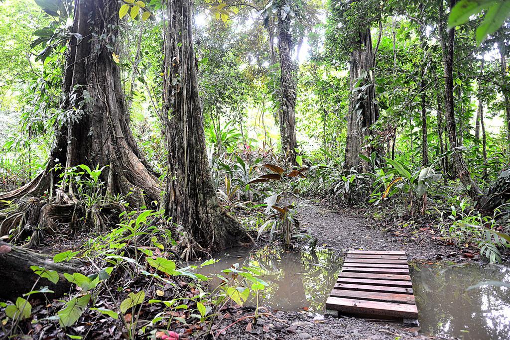 Korrigan Lodge Cahuita Exterior photo