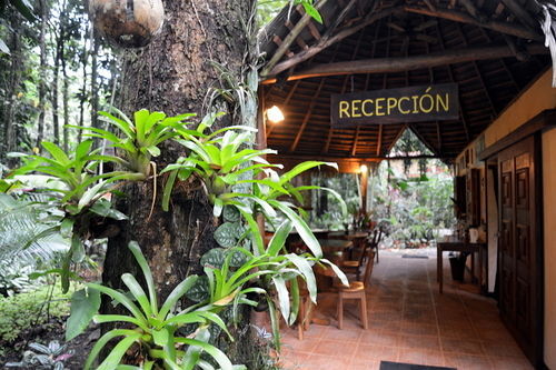 Korrigan Lodge Cahuita Exterior photo